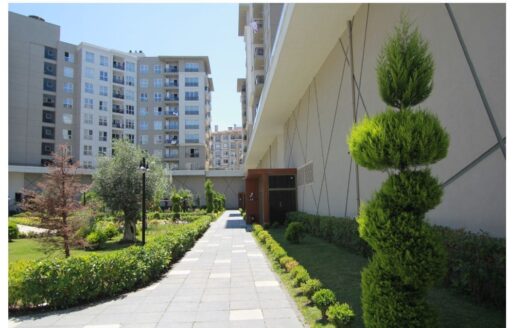 BEYHİLL PREMİUM